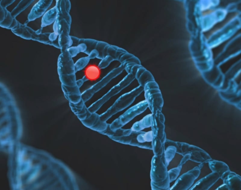 Bioinformatics Image
